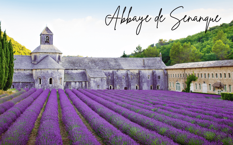 Immersing in the Tranquil Beauty of Abbaye de Sénanque